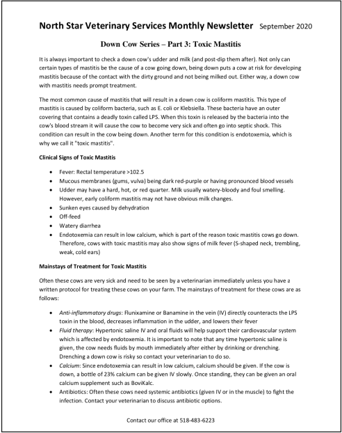Newsletter September 2020: Down Cow Toxic Mastitis