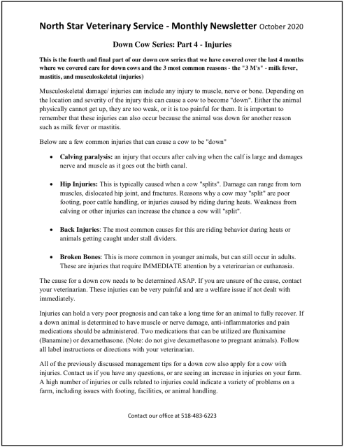 Newsletter October 2020: Down Cow Injury