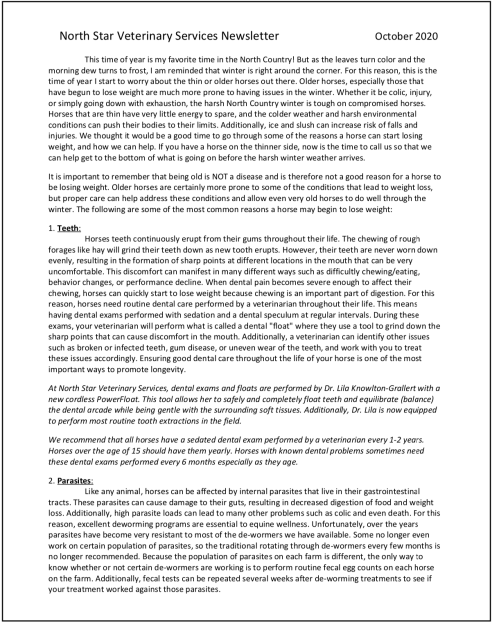 Newsletter October 2020: Thin Horse